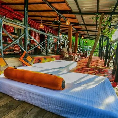 Hilltop Wood Lodge 엘라 외부 사진