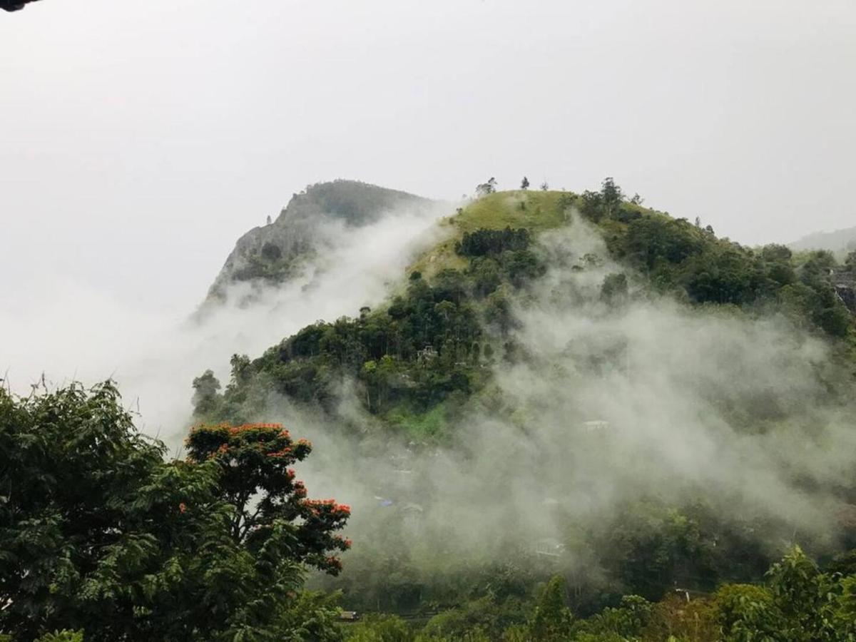 Hilltop Wood Lodge 엘라 외부 사진