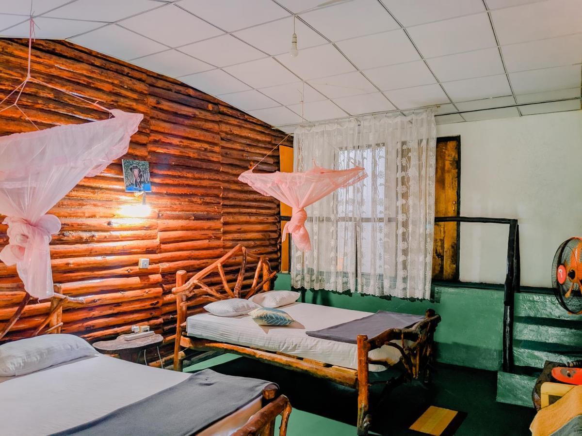 Hilltop Wood Lodge 엘라 외부 사진